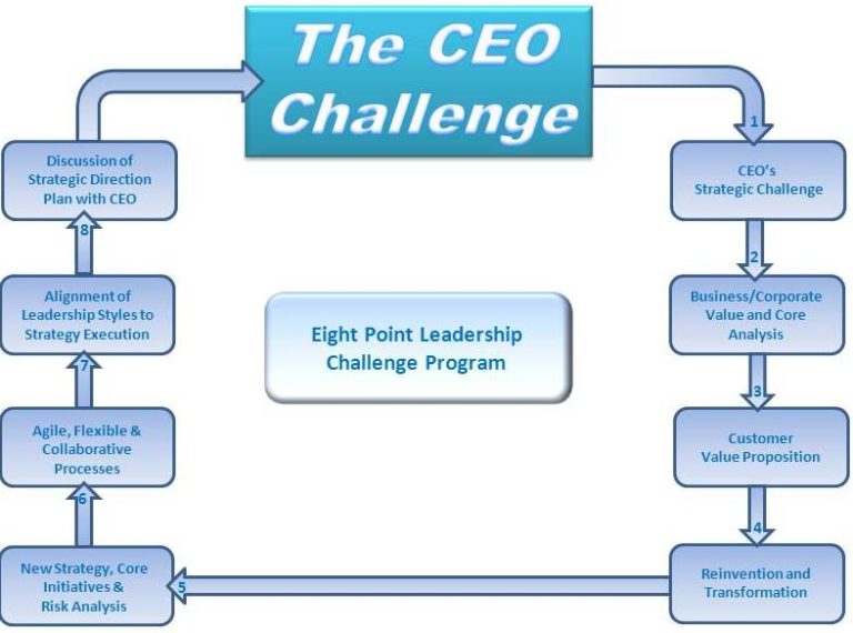 The CEO Transformation Challenge Bottom Line Institute